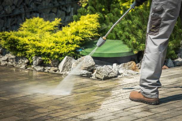 Best Warehouse Cleaning  in Crestwood Village, NJ